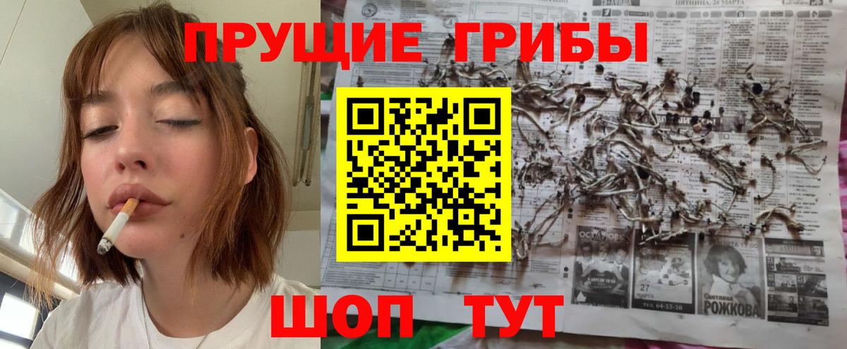 Сочи  Псилоцибиновые грибы GOLDEN TEACHER  Вход с VPN 